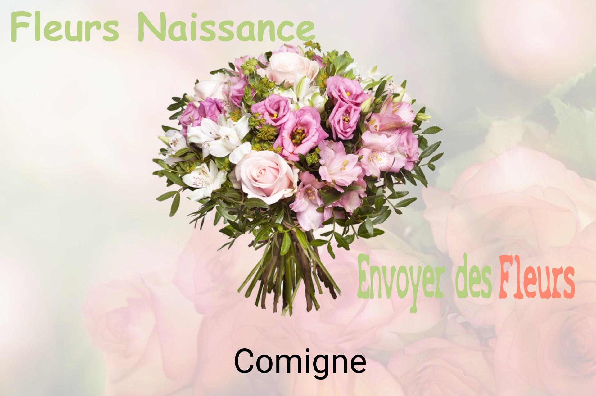 Bouquet de fleurs de naissance livré à Comigne